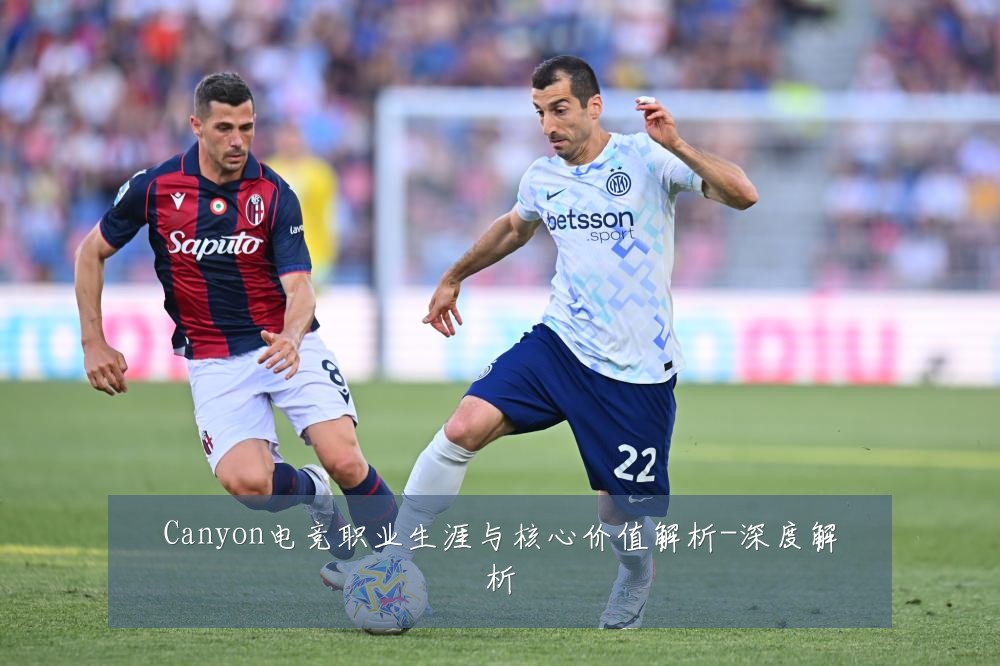 Canyon电竞职业生涯与核心价值解析-深度解析